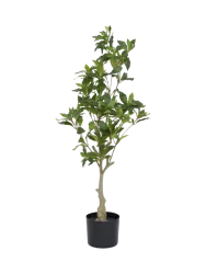 Lebensechte Kunstpflanze „Pieris“, verschiedene Grössen Baq Design