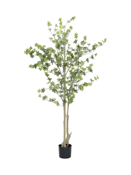Lebensechte Kunstpflanze „Enkianthus perulatus“, Höhe 180 cm Baq Design