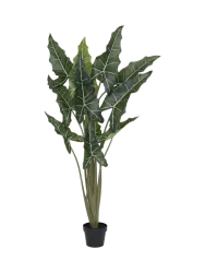 Lebensechte XL Kunstpflanze „Alocasia Tara“, verschiedene Grössen Baq Design