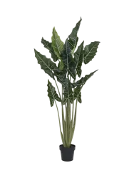 Lebensechte XL Kunstpflanze „Alocasia Tara“, verschiedene Grössen Baq Design