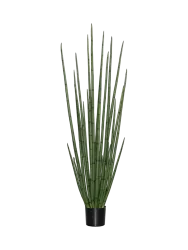 Lebensechte Kunstpflanze „Sansevieria Cylindrica“, Ø 50 x 180 cm Baq Design