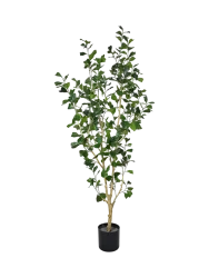 Lebensechte Kunstpflanze „Ficus Triangularis Tree“ Ø 45 x 180 cm Baq Design