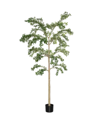Lebensechte Kunstpflanze „Buchida Buceras Shady Lady Tree XL“, Ø 80 x 280 cm Baq Design