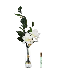 Luxuriöser Raumduft „Summer Magnolia“ - White & Gold Côte Noire