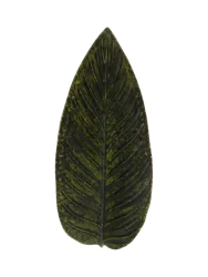 Handgefertigte Servierplatte „Riviera Strelizia leaf“ Costa Nova