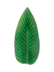 Handgefertigte Servierplatte „Riviera Strelizia leaf“ Costa Nova