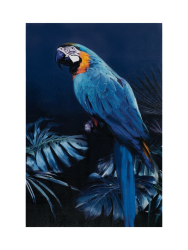image LAND Gemälde Papagei in Blau Blau | Schubiger Möbel