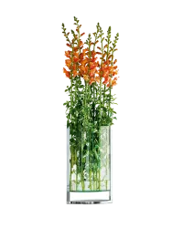 Design Vase „Decade“ Philippi