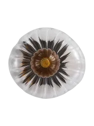 Exklusive Design Wandlampe 