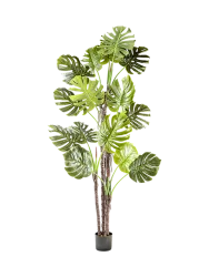 Hochwertige Kunstpflanze „Monstera“ Grün, Braun Schuller