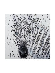 image LAND Bild Zebra H: 115 cm  | Schubiger Möbel