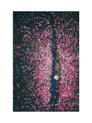image LAND Gemälde Blumenboot  | Schubiger Möbel