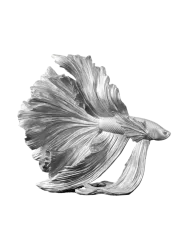 Design Skulptur „Crowntail“ Invicta Interiors