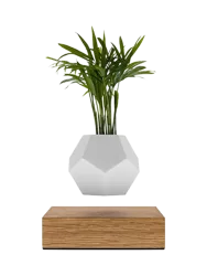 Schwebendes Design Objekt „LYFE Planter“ FLYTE