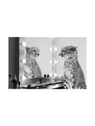 image LAND Glasbild Gepard Starlet  | Schubiger Möbel