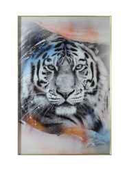 Glasbild „Weisser Tiger“ 100 x 150 cm Crea Collection