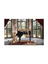 image LAND Glasbild Wild Music Cats  | Schubiger Möbel