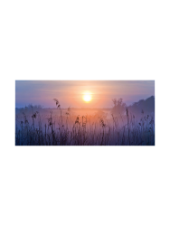 image LAND Digitaldruck auf Glas Sonnenaufgang im Nebel  | Schubiger Möbel
