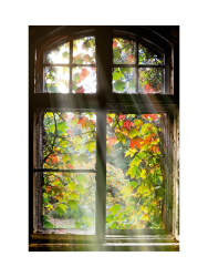 image LAND Digitaldruck auf Acrylglas Fenster mit Laub 1  | Schubiger Möbel