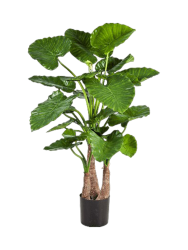 Lebensechte Kunstpflanze „Alcosia Calidora“ Baq Design