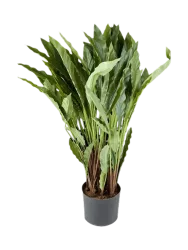 Lebensechte Kunstpflanze „Calathea Tuff“ Ø 60/ Höhe 84 cm Baq Design