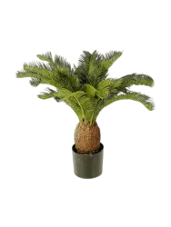 Lebensechte Kunstpflanze „Cycas Tuff“, verschiedene Grössen Baq Design