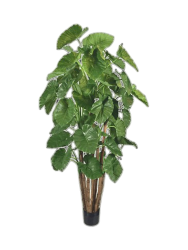 Lebensechte Kunstpflanze „Alocasia Caldiora Bush“, Ø 110 x 210 cm Baq Design