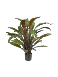 Lebensechte Kunstpflanze „Calathea Rufibarba Blue Grass“, Ø 40 x 60 cm Baq Design
