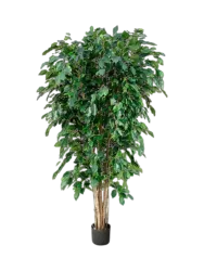 Lebensechte Kunstpflanze „Ficus Benjamina Exotica XL“ Ø 90 x 180 cm Baq Design
