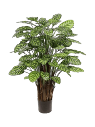 Lebensechte Kunstpflanze „Calathea Makoyana“, Ø 80 x 115 cm Baq Design