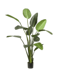 Lebensechte Kunstpflanze „Strelitzia XL“, verschiedene Grössen Baq Design