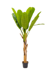 Lebensechte Kunstpflanze „Banana Tuft“, verschiedene Grössen Baq Design