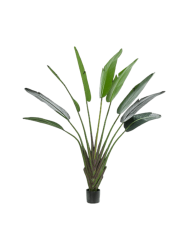Lebensechte Kunstpflanze „Strelitzia Duft“, Ø 140 x 180 cm Baq Design
