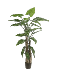 Lebensechte Kunstpflanze „Alocasia Giant Tree“, Ø 120 x 180 cm Baq Design