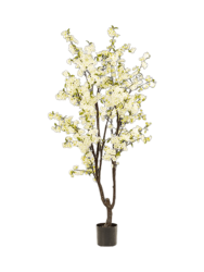 Lebensechte Kunstpflanze „Cherry Blossom Tree Cream“, verschiedene Grössen Baq Design