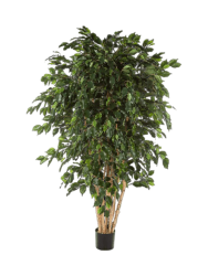 Lebensechte Kunstpflanze „Ficus Exotica Bush XL“ Baq Design