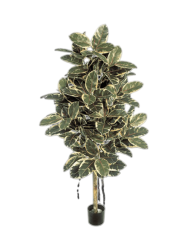 Lebensechte Kunstpflanze „Ficus Elastica Variegated Tree“ Ø 65 x 140 cm Baq Design