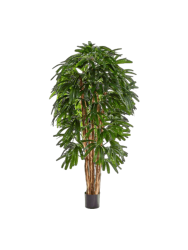 Lebensechte Kunstpflanze „Rhapis Tuft“, verschiedene Grössen Baq Design