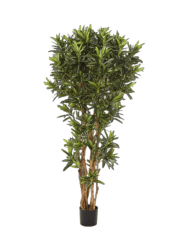 Lebensechte Kunstpflanze „Croton Goldfinger Reflexa“, verschiedene Grössen Baq Design