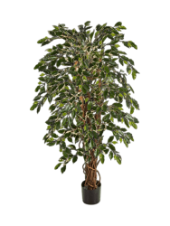 Lebensechte Kunstpflanze „Ficus Liana Branched“, verschiedene Grössen Baq Design