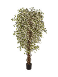 Lebensechte Kunstpflanze „Ficus Hawaiian Liana Branched“, verschiedene Grössen Baq Design