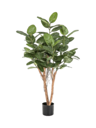 Lebensechte Kunstpflanze „Ficus Audrey“, Höhe 140 cm Baq Design