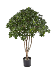 Lebensechte Kunstpflanze „Euonymus Japonicus“, Ø 100 x 120 cm Baq Design