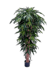 Lebensechte Kunstpflanze „Longifolia XL“, verschiedene Grössen Baq Design