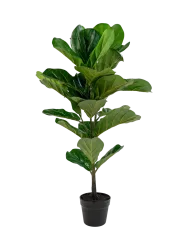 Lebensechte Kunstpflanze „Fiddle Leaf Tree“ Grün, Braun Chosen by Bloomingloft