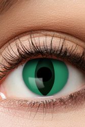 Eye Catcher Farblinsen - Grün Einheitsgroesse
