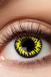 Eye Catcher Farblinsen - Gelb + Schwarz Einheitsgroesse