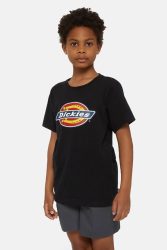 Dickies Logo T-Shirt - Black L Kids