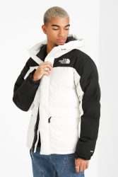 The North Face Puffer Daunenjacke - Gardenia White S Herren