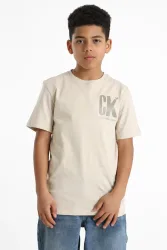 Calvin Klein Jeans Chest Surf Graphic T-Shirt - Oyster Gray 14 Kids